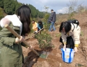 2019年3月18日，积极组织职工参加医院植树活动。