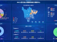 家庭与生活报：四川96111一个40多天没睡好的女子打来了电话