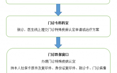 成都市医保门诊特殊疾病认定、记账、结算流程