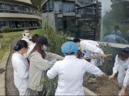 省精神医学中心团总支联合综合后勤部开展植树节义务植树活动