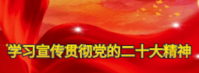 学习宣传贯彻党的二十大精神