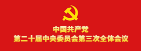 学习宣传贯彻党的二十届三中全会精神