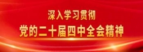 深入学习贯彻党的二十届四中全会精神